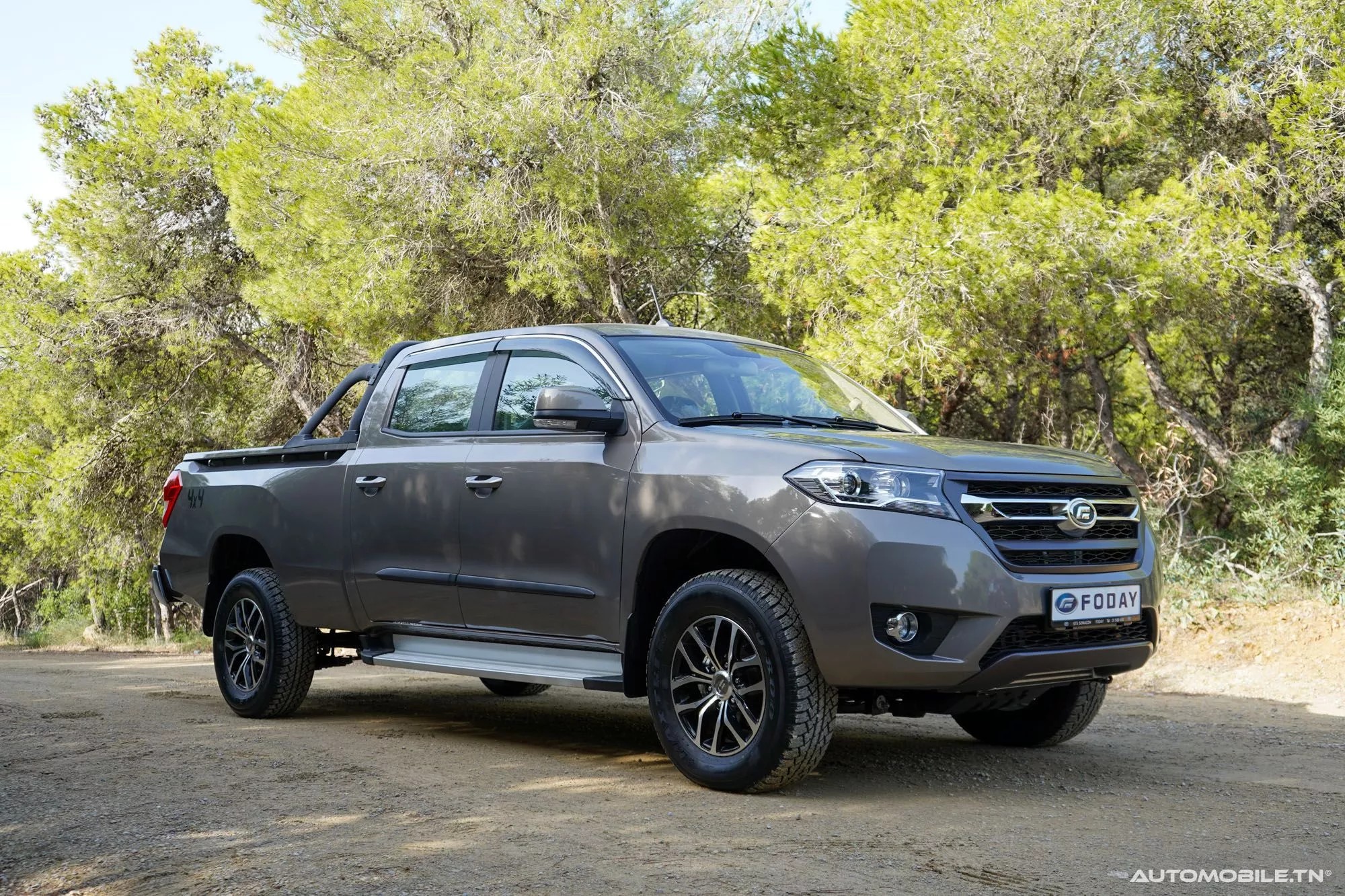 2024 FODAY Lion F 22 D