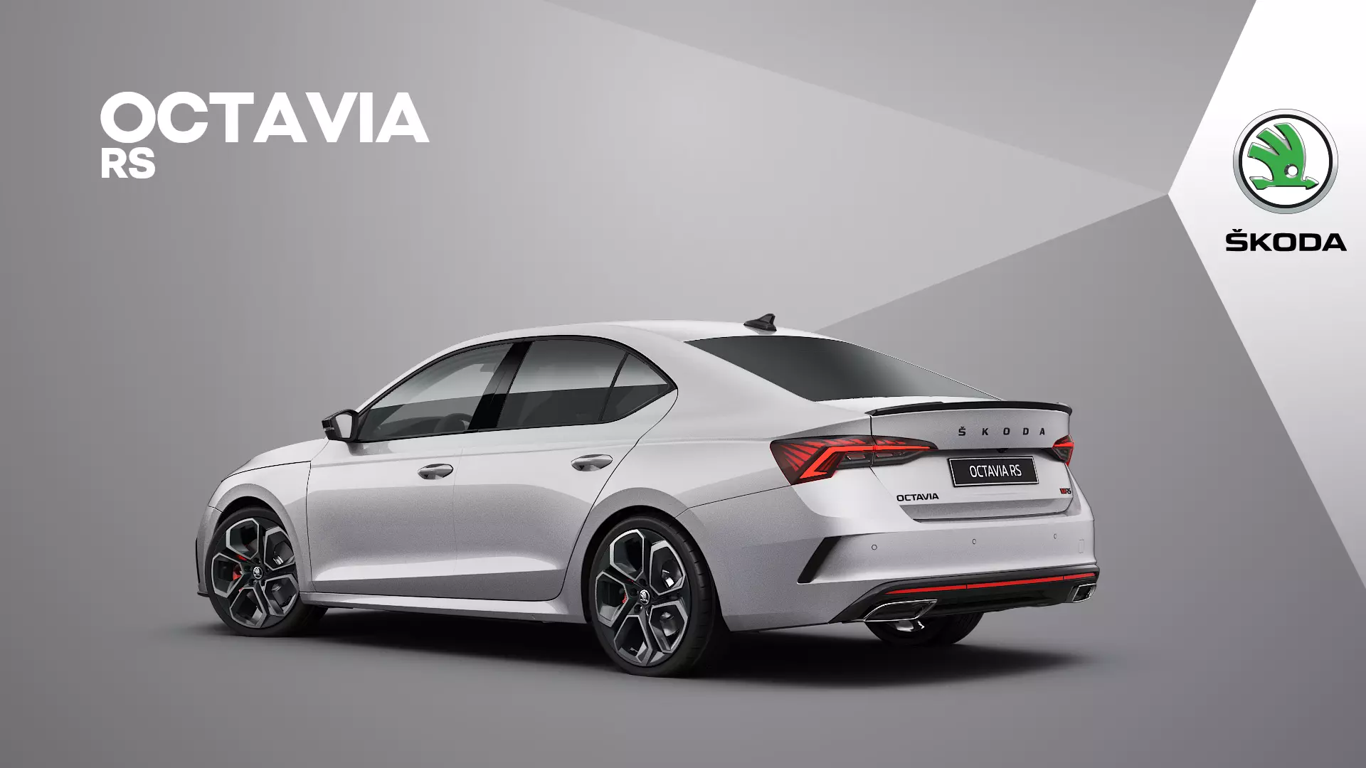 2024 Skoda OCTAVIA RS 2.0TSI DSG