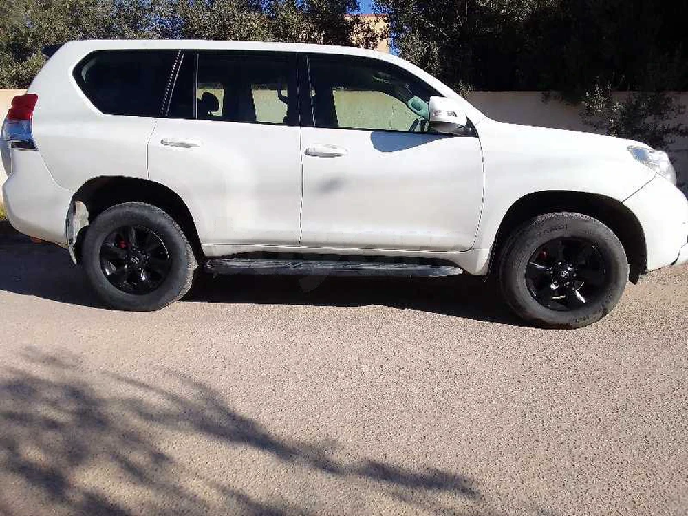 2010  Toyota  Prado