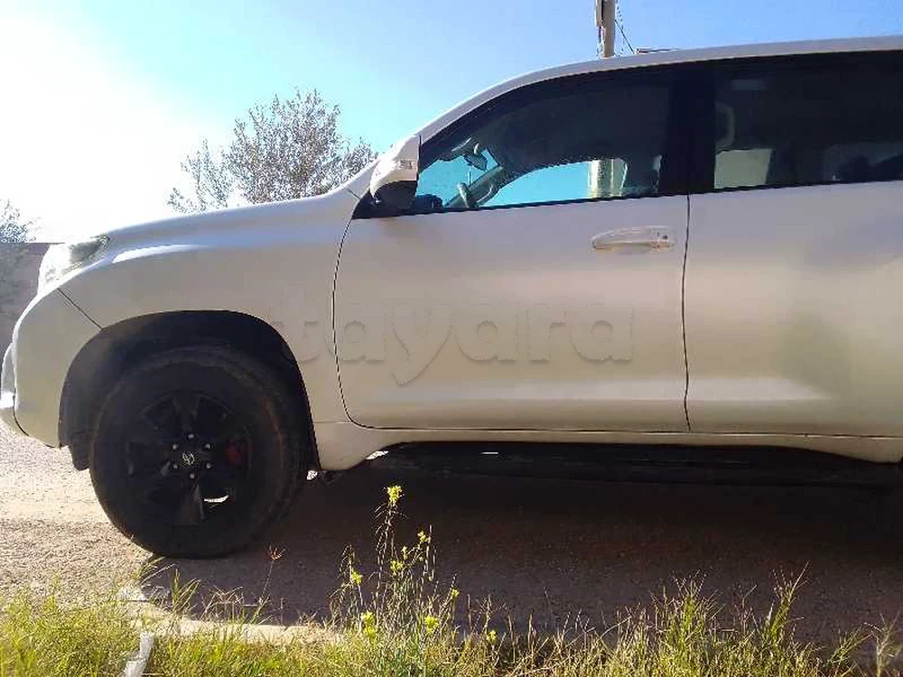 2010  Toyota  Prado