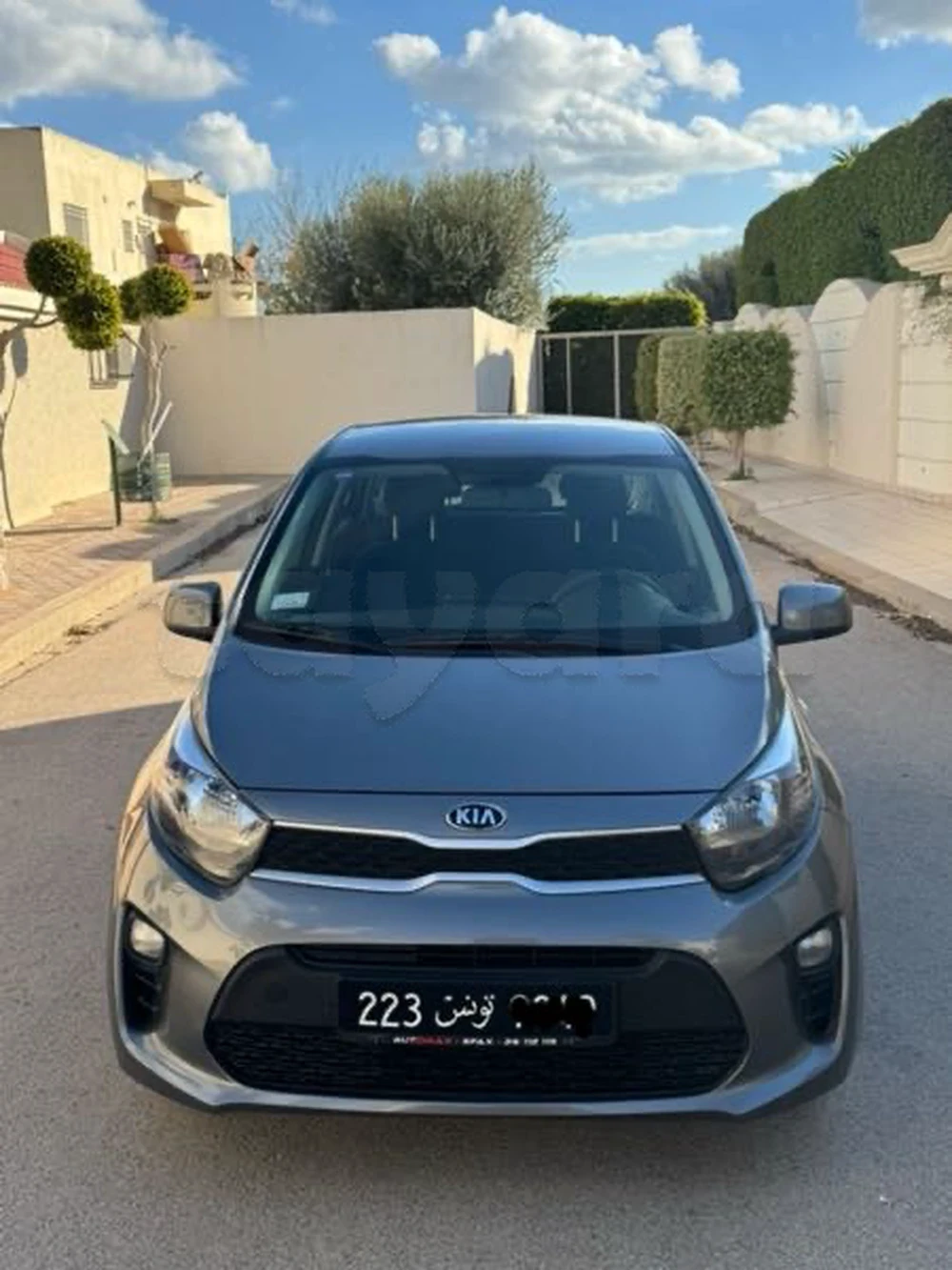 2021  Kia  Picanto