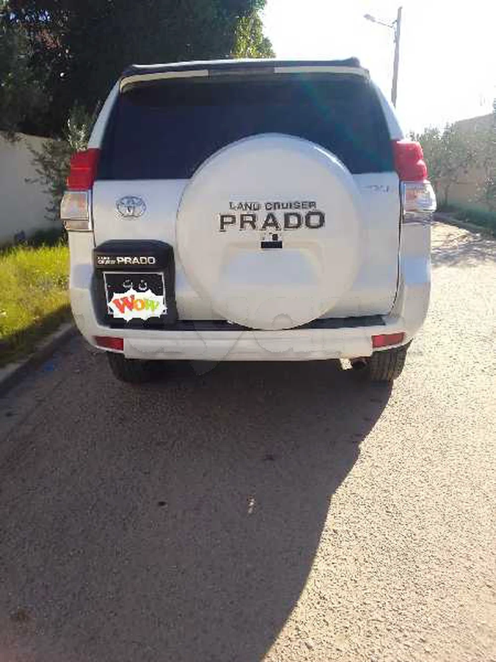 2010  Toyota  Prado