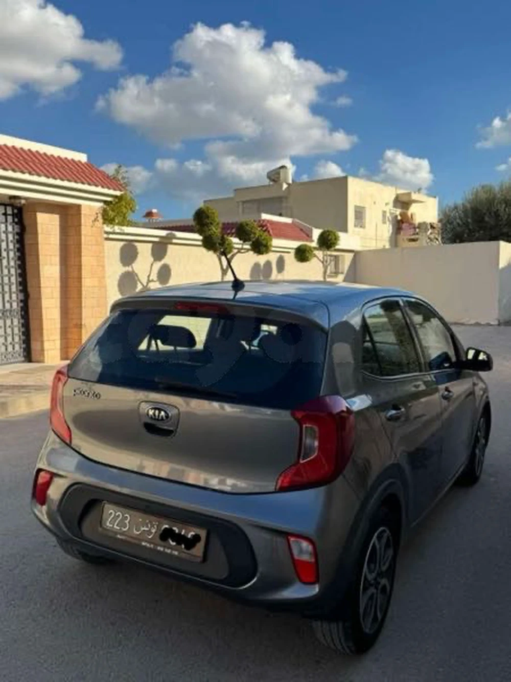 2021  Kia  Picanto