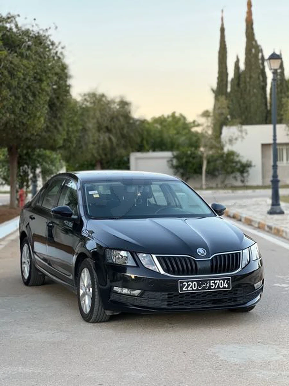 2021  Skoda  Octavia