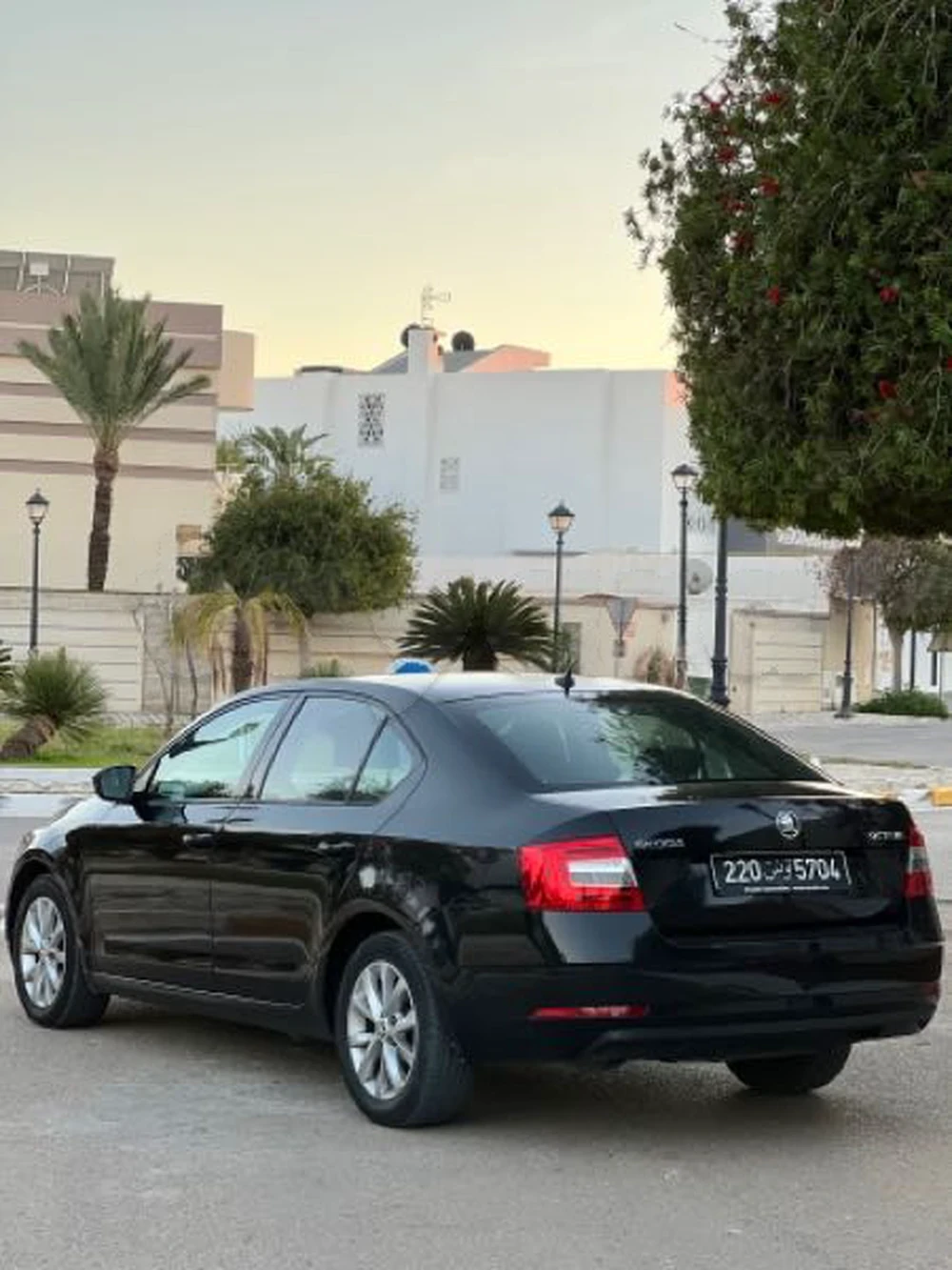 2021  Skoda  Octavia