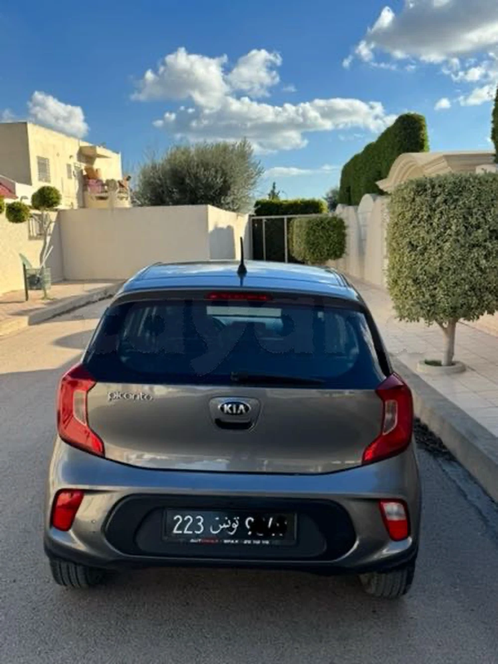 2021  Kia  Picanto