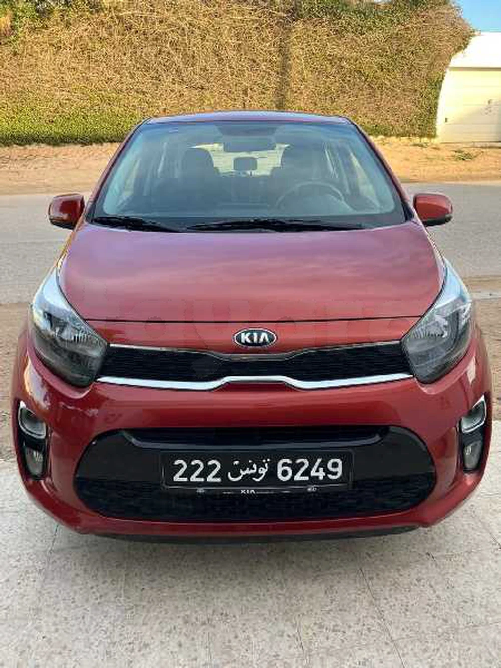 2021  Kia  Picanto