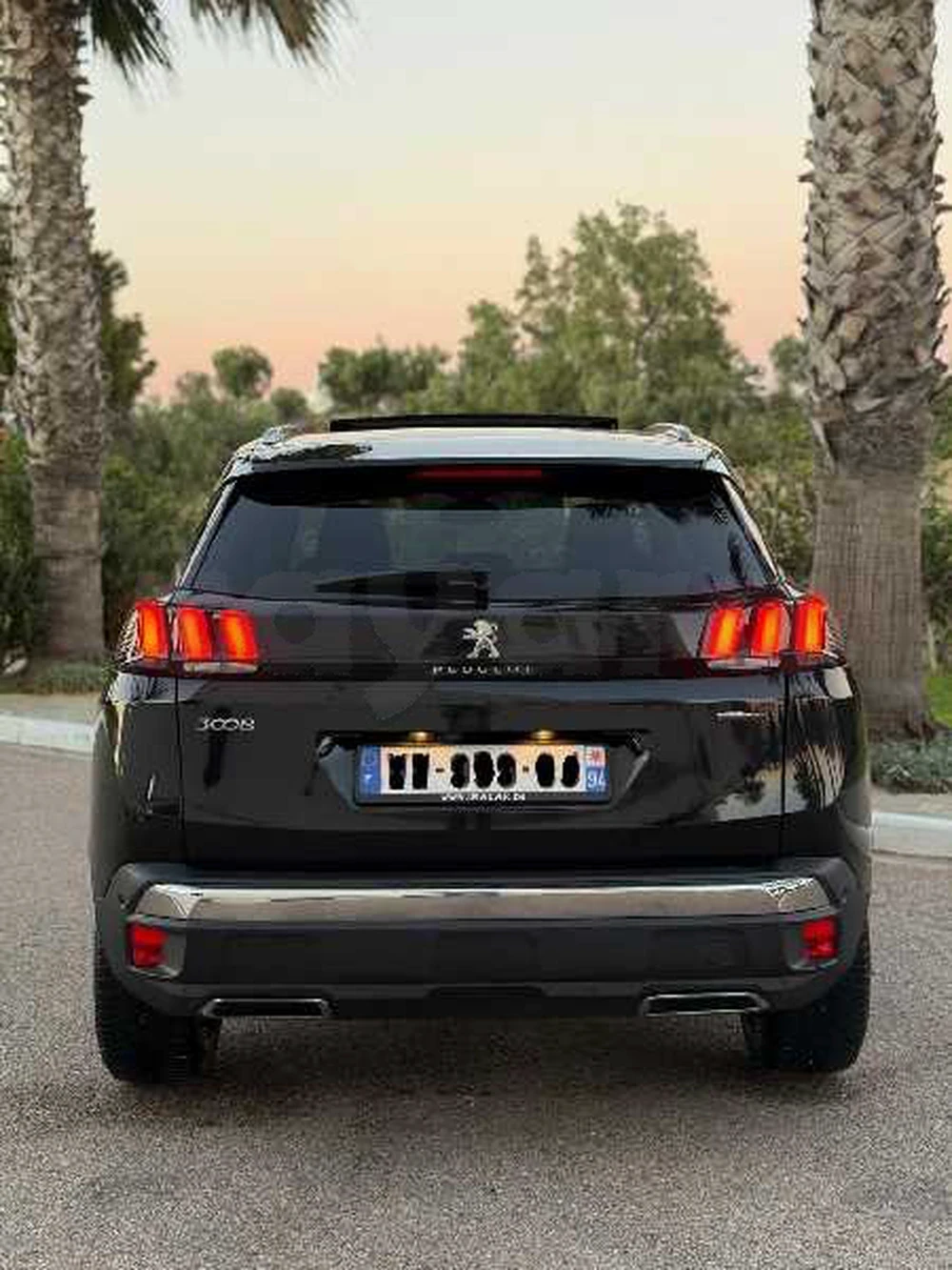 2021  Peugeot  3008
