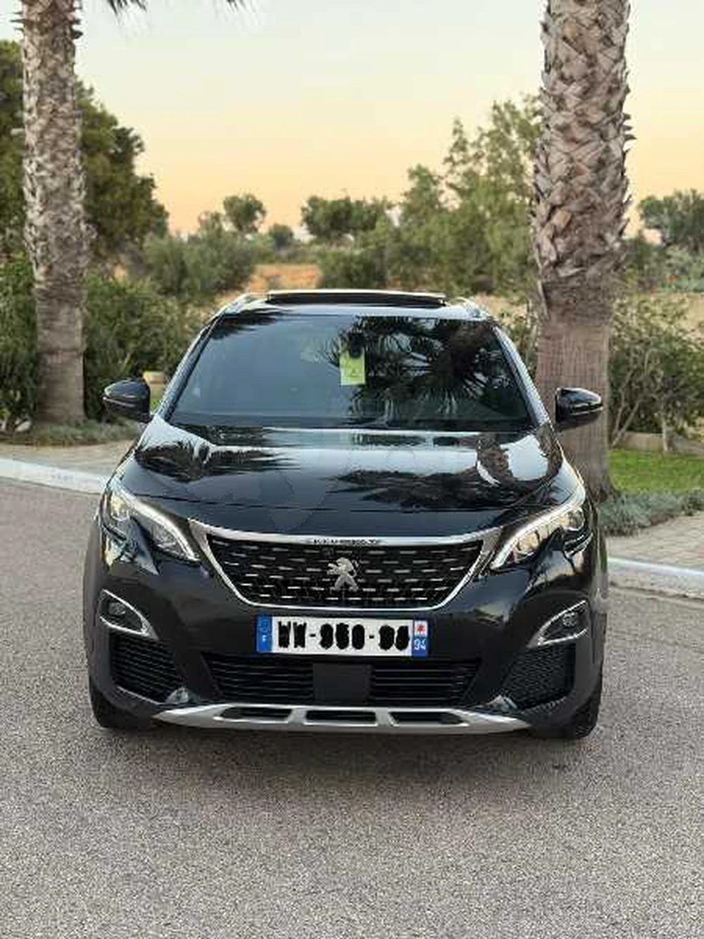 2021  Peugeot  3008