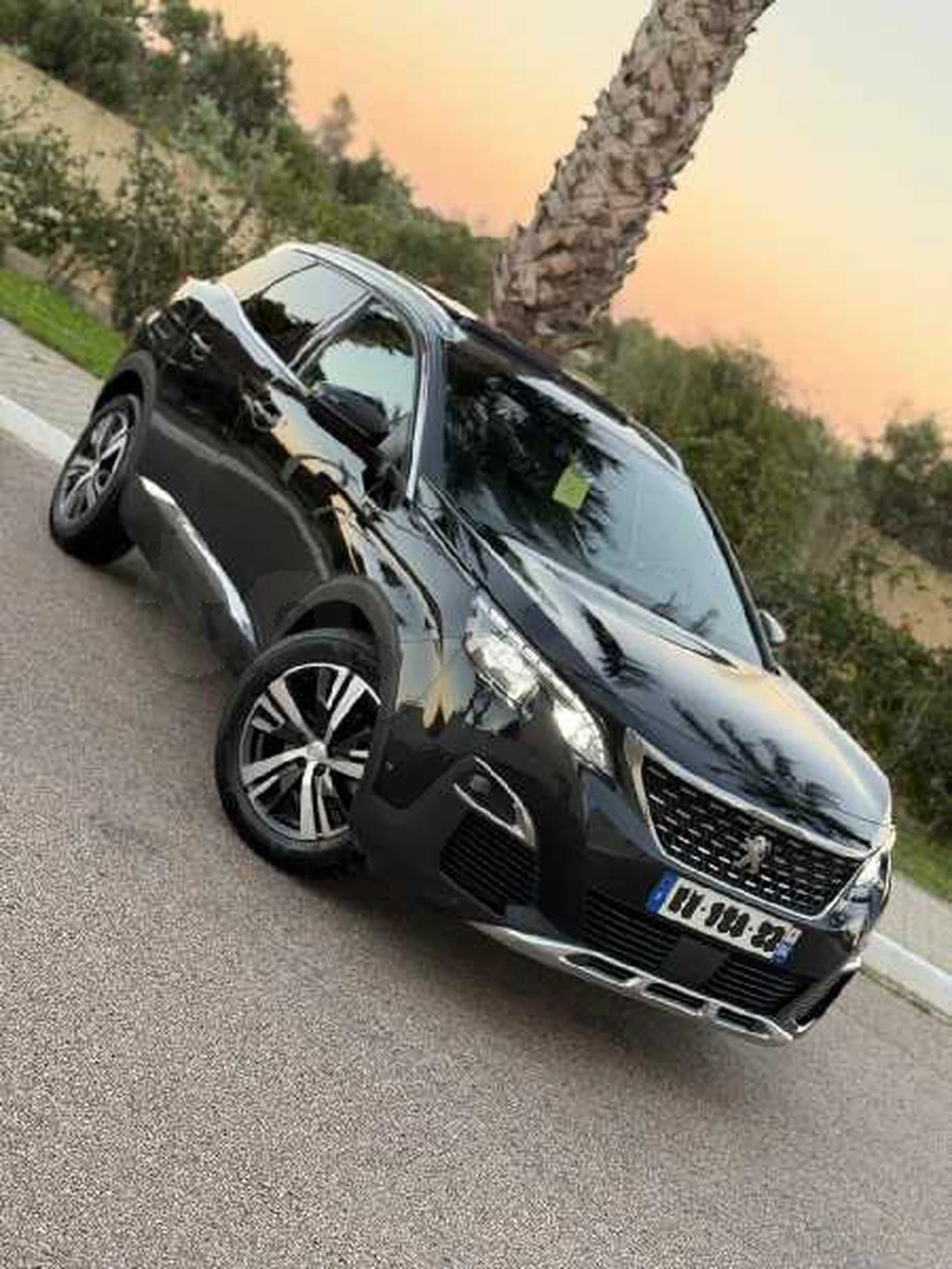 2021  Peugeot  3008