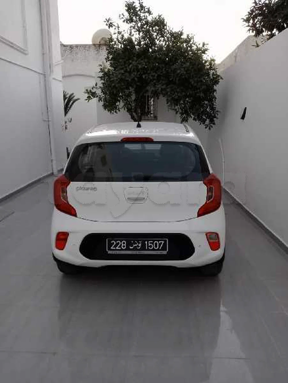 2022  Kia  Picanto