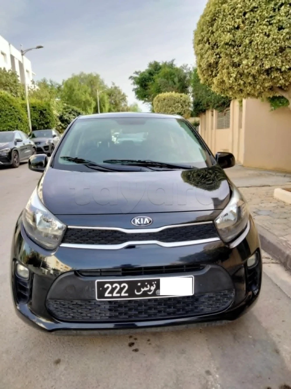 2021  Kia  Picanto