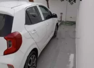 2022  Kia  Picanto