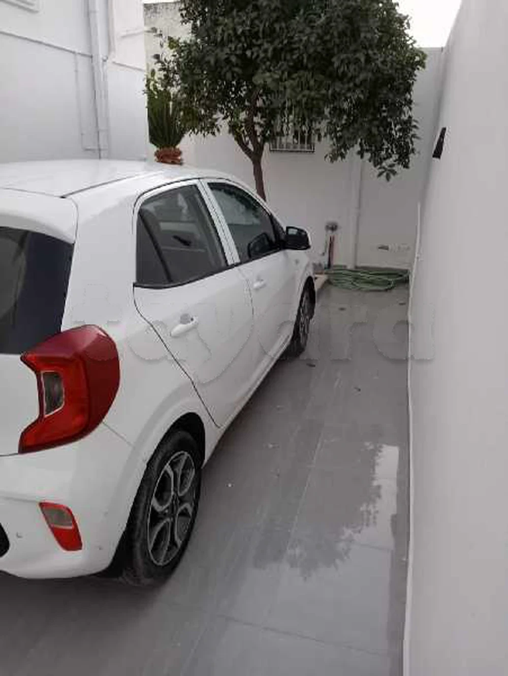 2022  Kia  Picanto