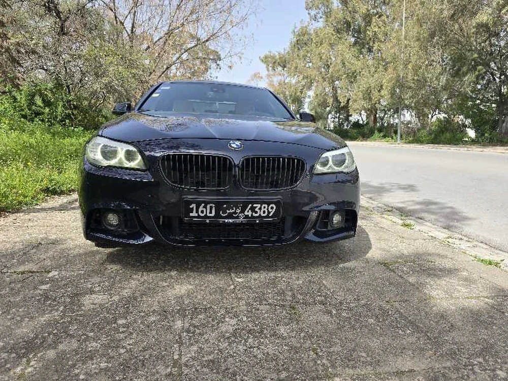 2013  BMW  Serie 5