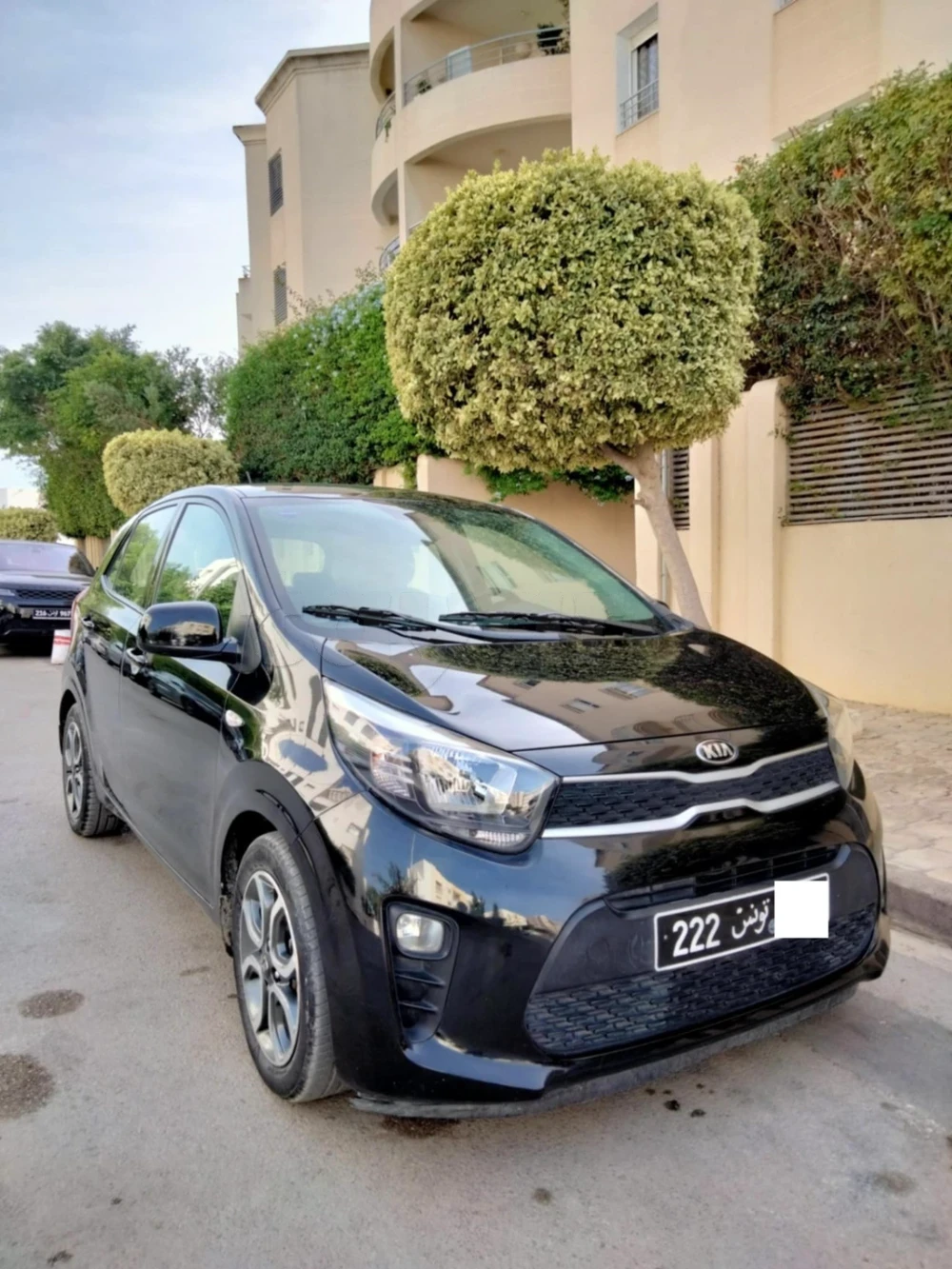 2021  Kia  Picanto