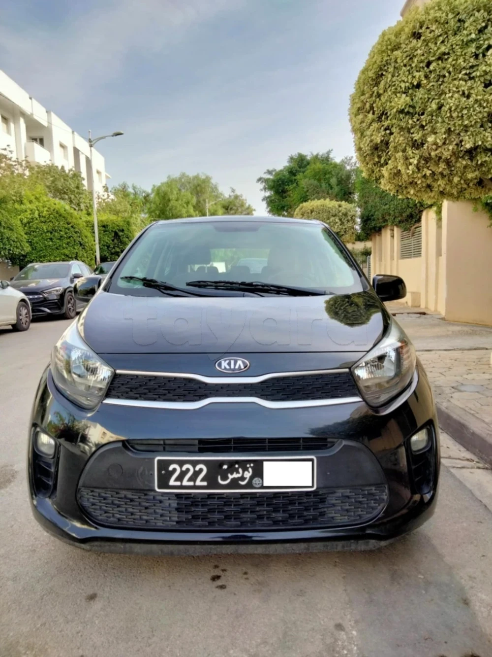 2021  Kia  Picanto