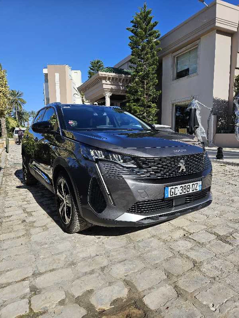 2022  Peugeot  3008