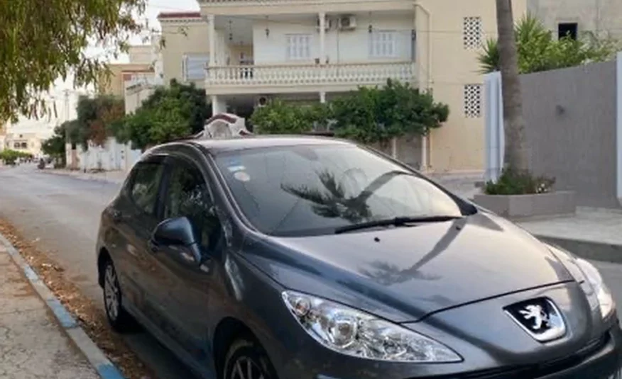 2010  Peugeot  308