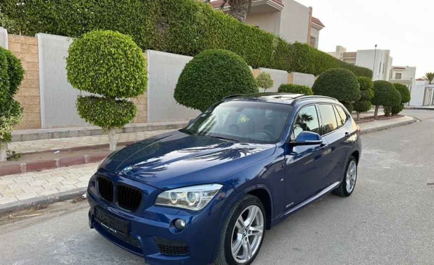 2015  BMW  X1
