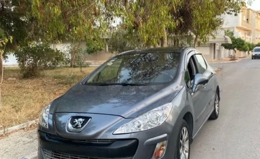 2010  Peugeot  308