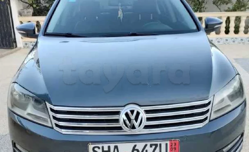 2013  Volkswagen  Passat
