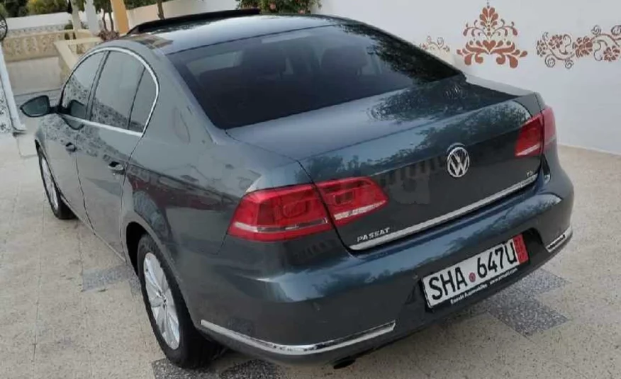 2013  Volkswagen  Passat