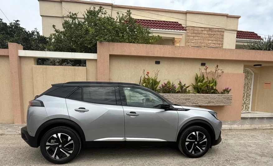 2020  Peugeot  2008