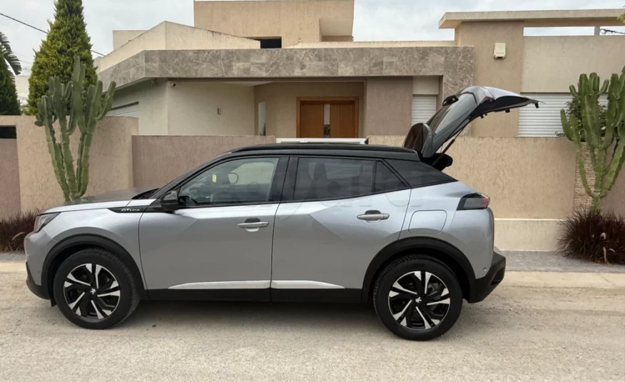 2020  Peugeot  2008