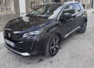 2022  Peugeot  3008
