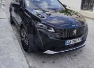 2022  Peugeot  3008
